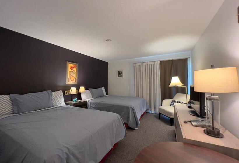 高级大房间, Monashee Motel