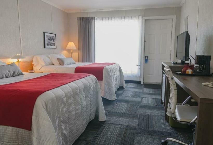 Номер Стандарт 2 Двуспальные Кровати, Motel Cartier