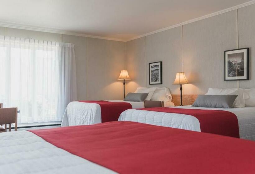 Номер Стандарт, Motel Cartier