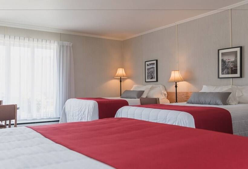 Quarto Estandar, Motel Cartier