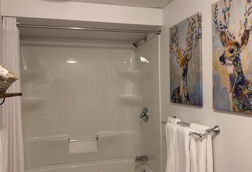 חדר משפחתי, Motel Des Cascades