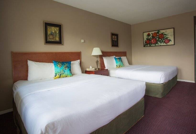Номер Стандарт 2 Двуспальные Кровати, Powder Mountain Lodge