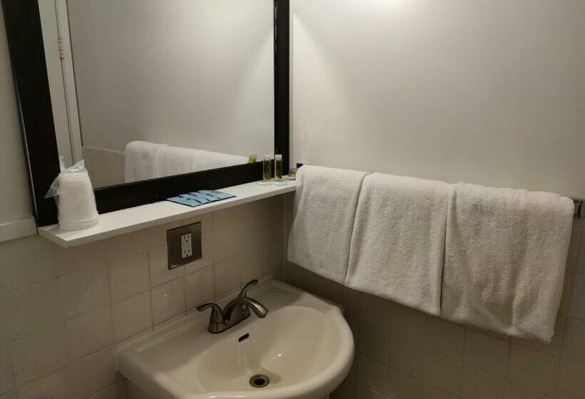 带2个双人床的标准工作室, Pemberton