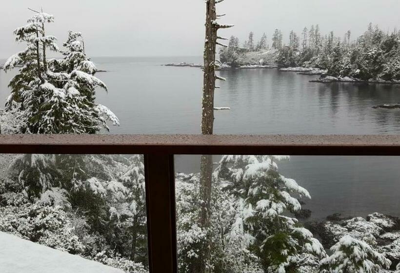 キングサイズベッドのスイートルーム, Reef Point Oceanfront Bed And Breakfast