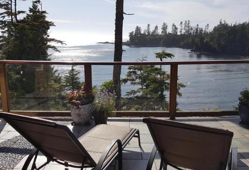 スタンダードルーム, Reef Point Oceanfront Bed And Breakfast