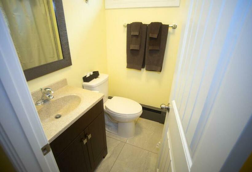 غرفه قياسيه سريرين مزدوجين, Stardust Motel