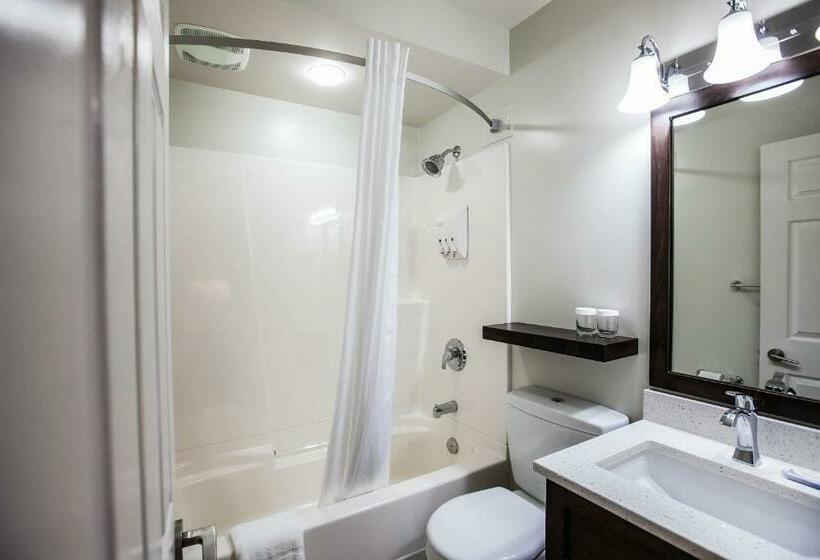 اتاق استاندارد با تخت بزرگ, Swiss Chalet Motel