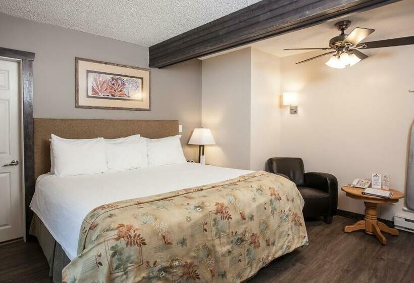 اتاق استاندارد با تخت بزرگ, Swiss Chalet Motel