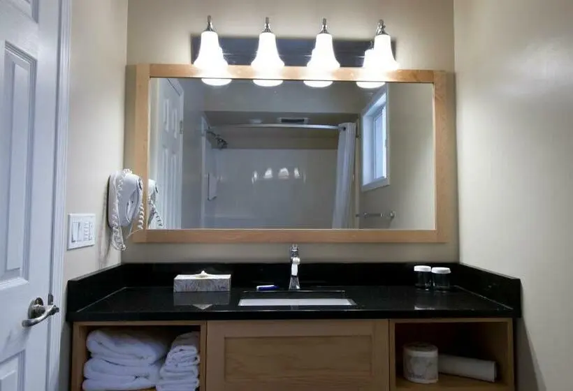 Standard-huone, Swiss Chalet Motel