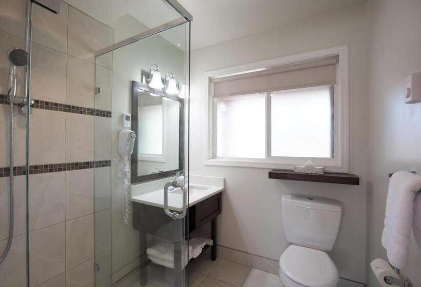 اتاق استاندارد با تخت بزرگ, Swiss Chalet Motel