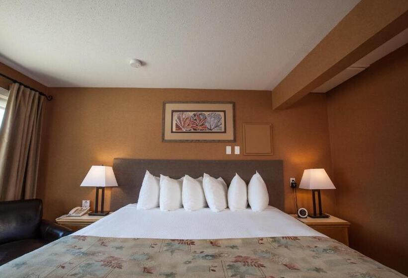 غرفة قياسية سرير كينج, Swiss Chalet Motel