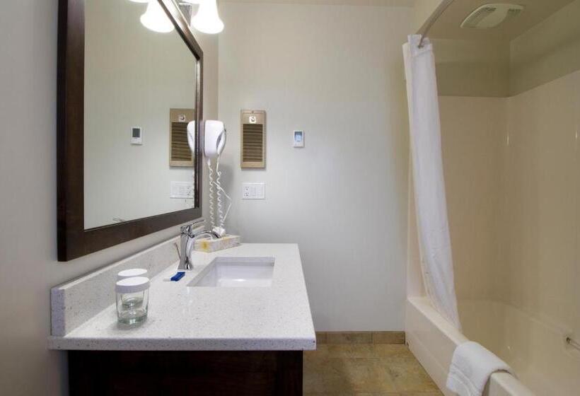 اتاق استاندارد با تخت بزرگ, Swiss Chalet Motel