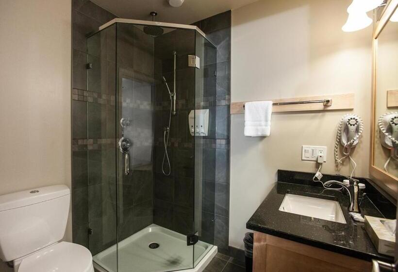 اتاق لوکس, Swiss Chalet Motel