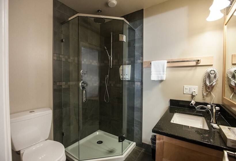 اتاق لوکس, Swiss Chalet Motel