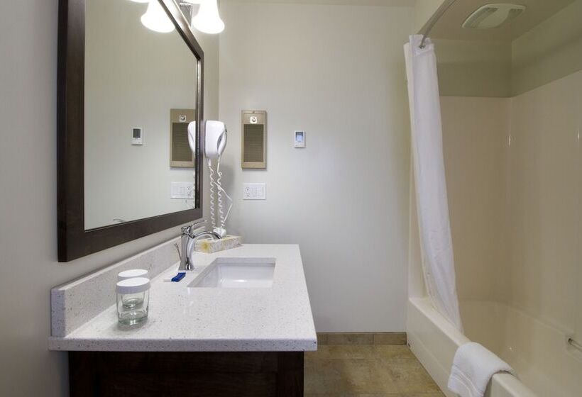 اتاق لوکس, Swiss Chalet Motel