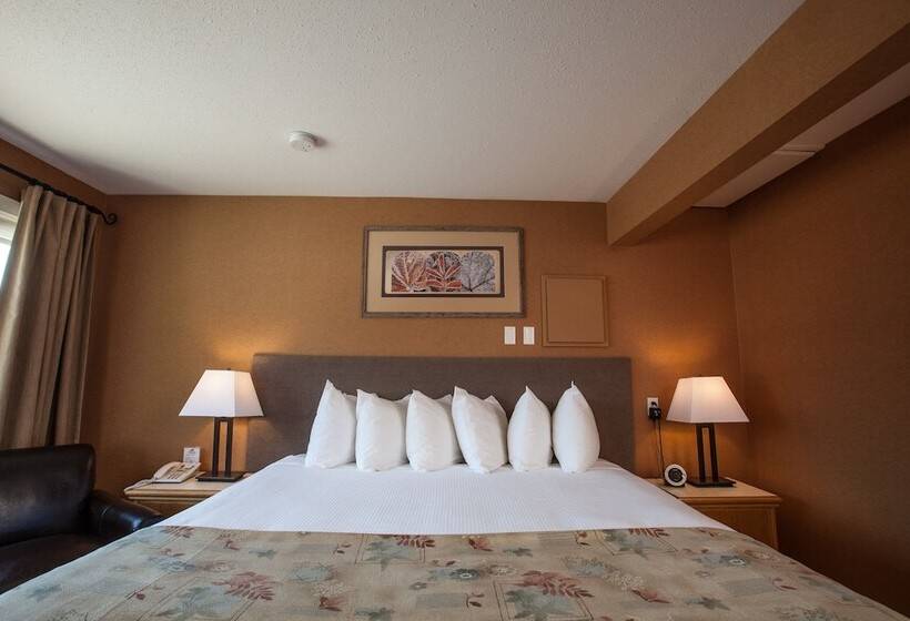 اتاق لوکس, Swiss Chalet Motel