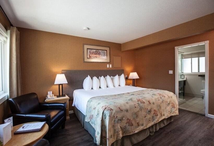 اتاق لوکس, Swiss Chalet Motel