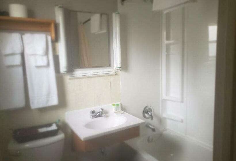 Номер Стандарт 2 Двуспальные Кровати, Wildwood Motel