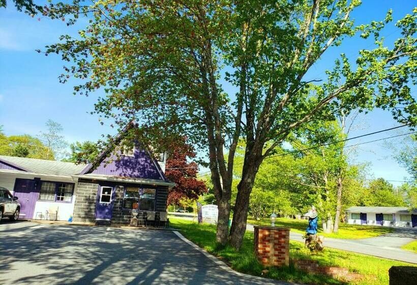 غرفة قياسية, Wildwood Motel