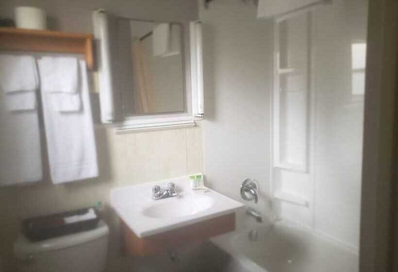 غرفه قياسيه سريرين مزدوجين, Wildwood Motel