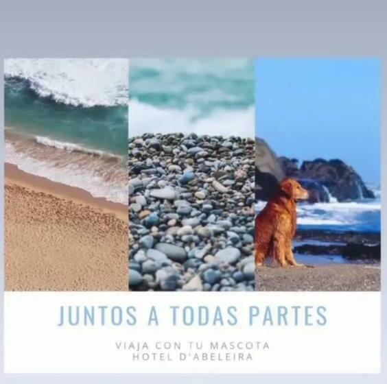 اتاق عادی, Dabeleira