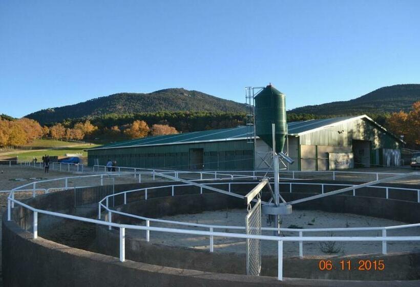 标准间, Habitaciones Premium Finca La Casona