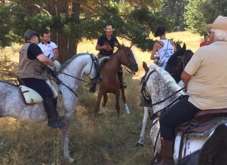 标准三人间, Habitaciones Premium Finca La Casona