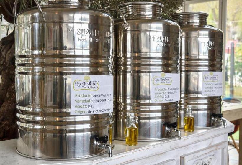 带大床的套房, Habitaciones Premium Finca La Casona