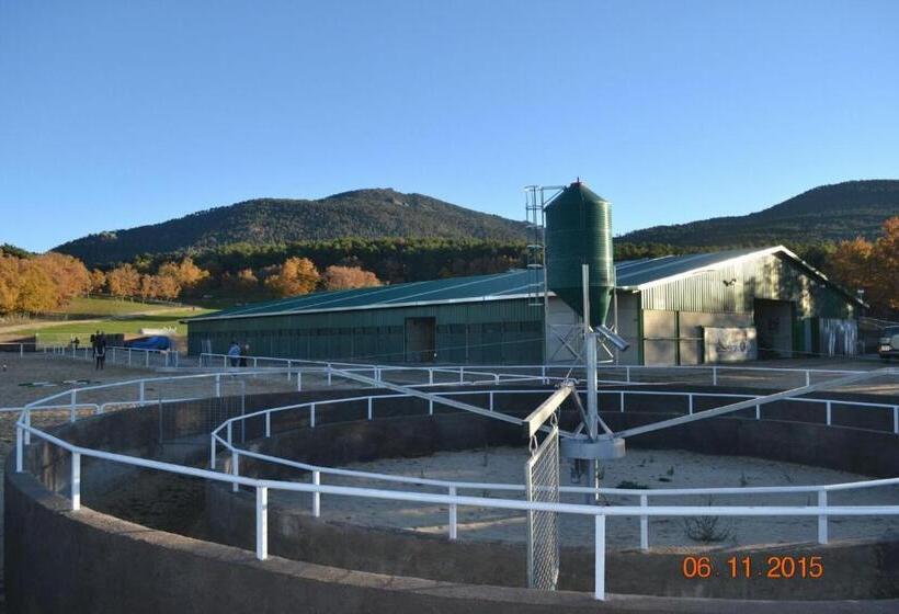 带大床的复式套间, Habitaciones Premium Finca La Casona