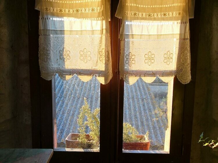 Номер Стандарт, La Pepa Maca