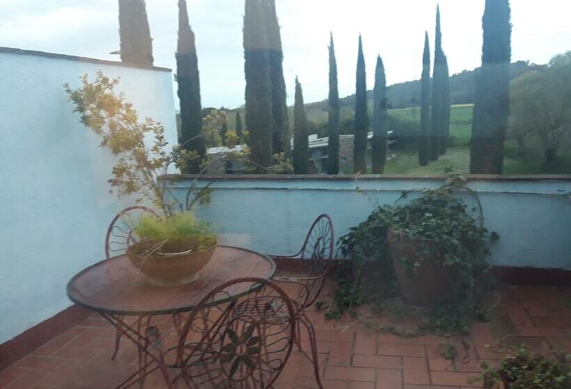 Номер Стандарт, La Pepa Maca