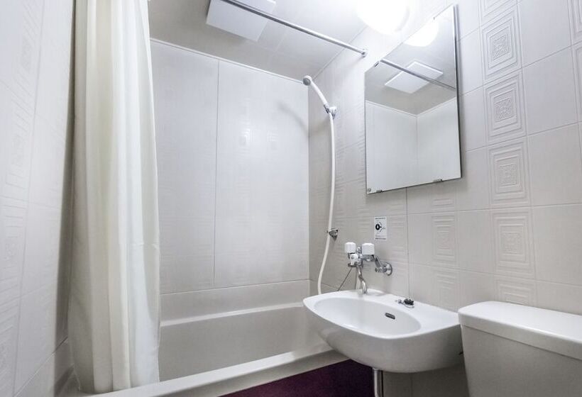 غرفة قياسية فردية, Lodge Romulus