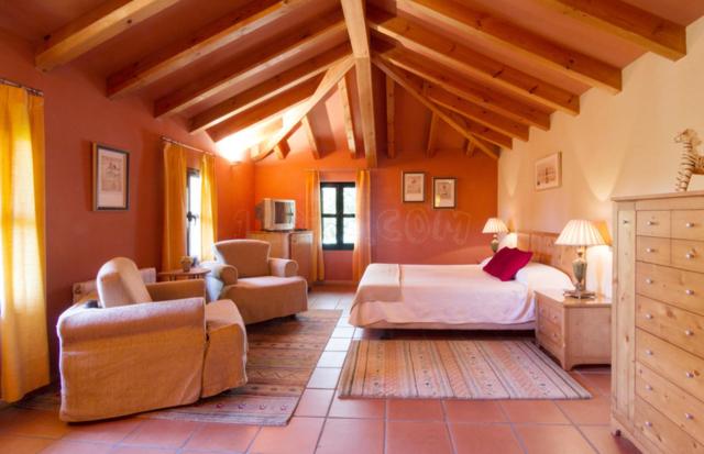 اتاق استاندارد چهار تخته, Sara De Ur