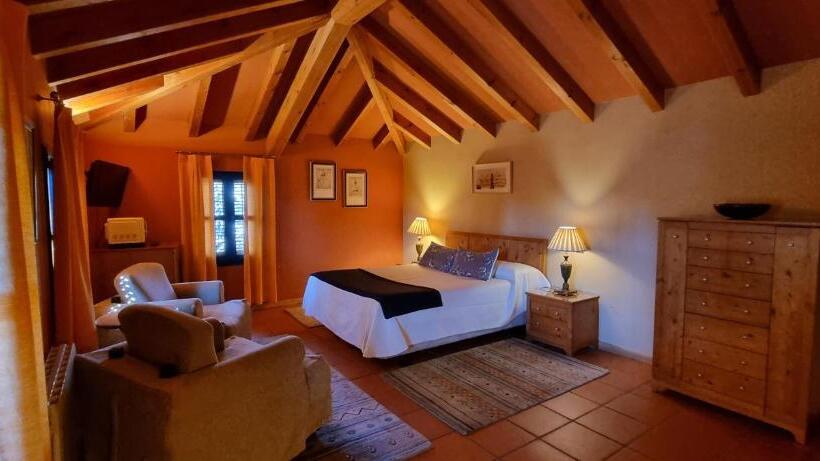 اتاق استاندارد چهار تخته, Sara De Ur