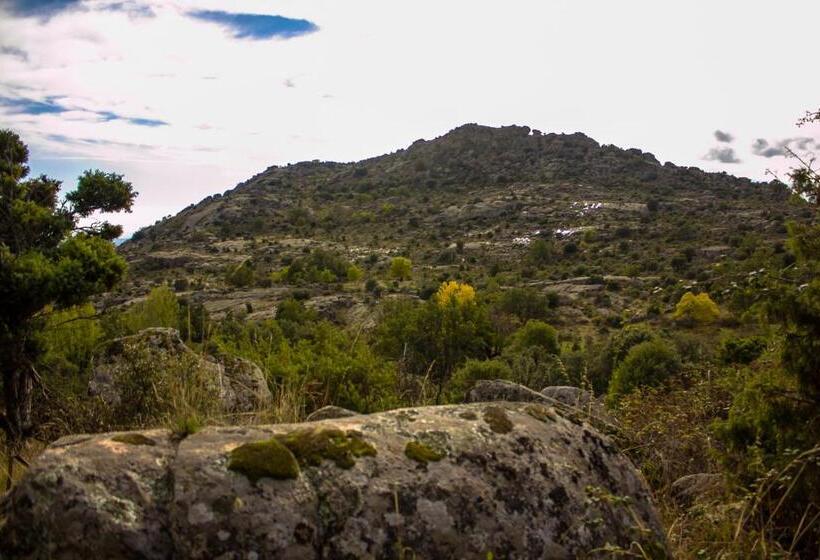 آپارتمان دوبلکس 1 خوابه, Sara De Ur