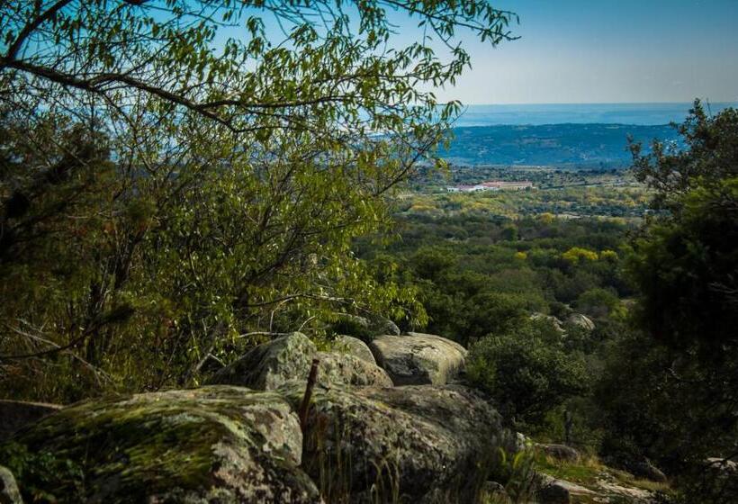 آپارتمان دوبلکس 1 خوابه, Sara De Ur