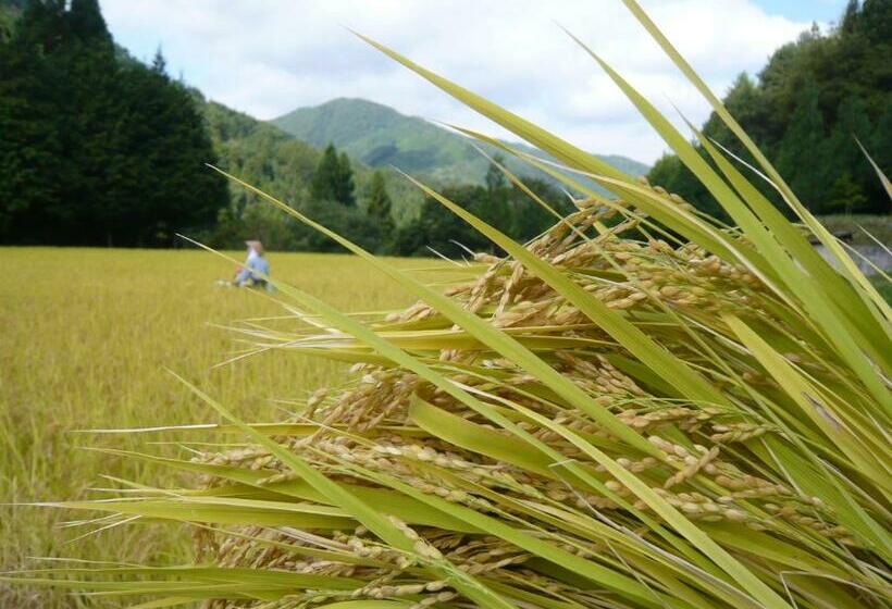 共用浴室的经济型房间, Yamazatonoiori Soene