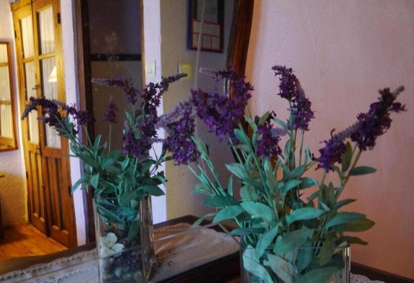 غرفة قياسية, Posada Corral Mayor