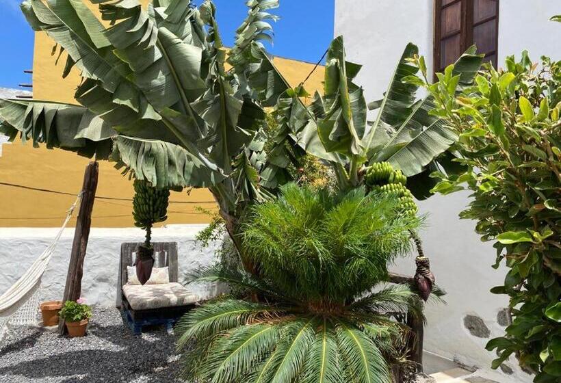 Номер Стандарт, Casa Emblemática Buenavista Del Norte