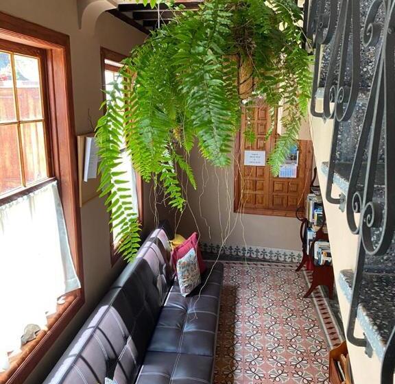 Номер Стандарт, Casa Emblemática Buenavista Del Norte