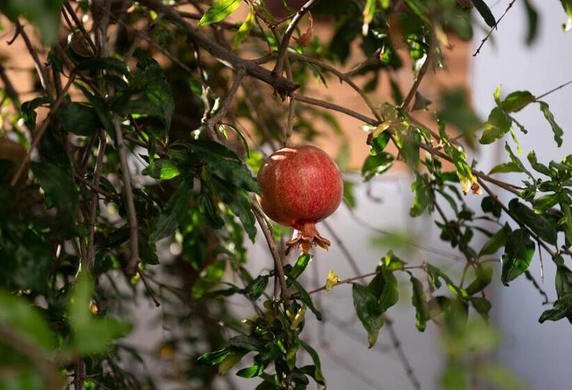 Дом 3 Спальни, Casa Emblemática Buenavista Del Norte