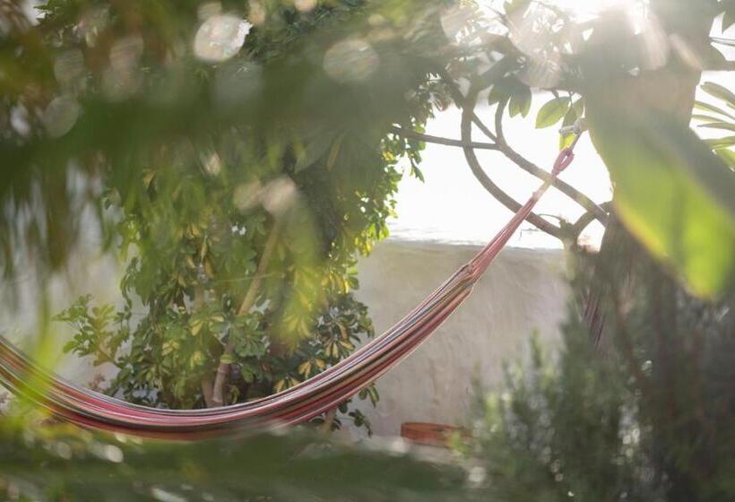 Дом 3 Спальни, Casa Emblemática Buenavista Del Norte