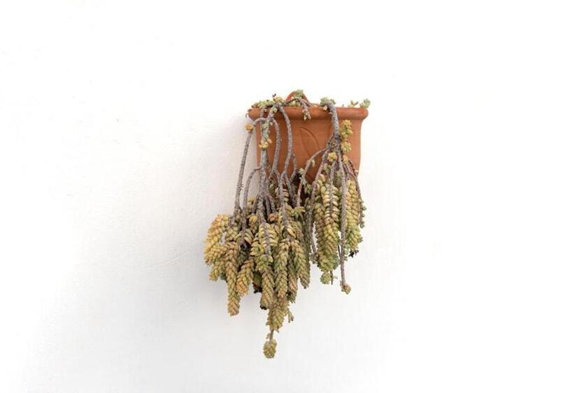 Дом 3 Спальни, Casa Emblemática Buenavista Del Norte