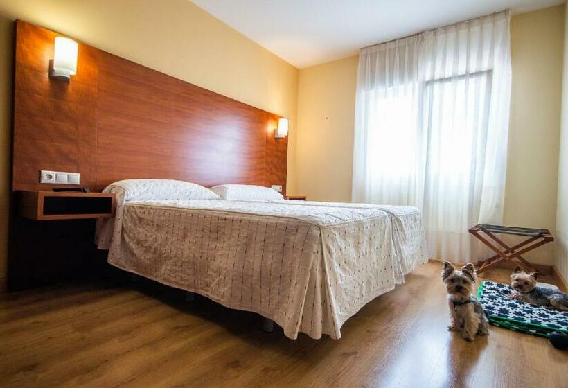 غرفة قياسية, Pension Viella Asturias