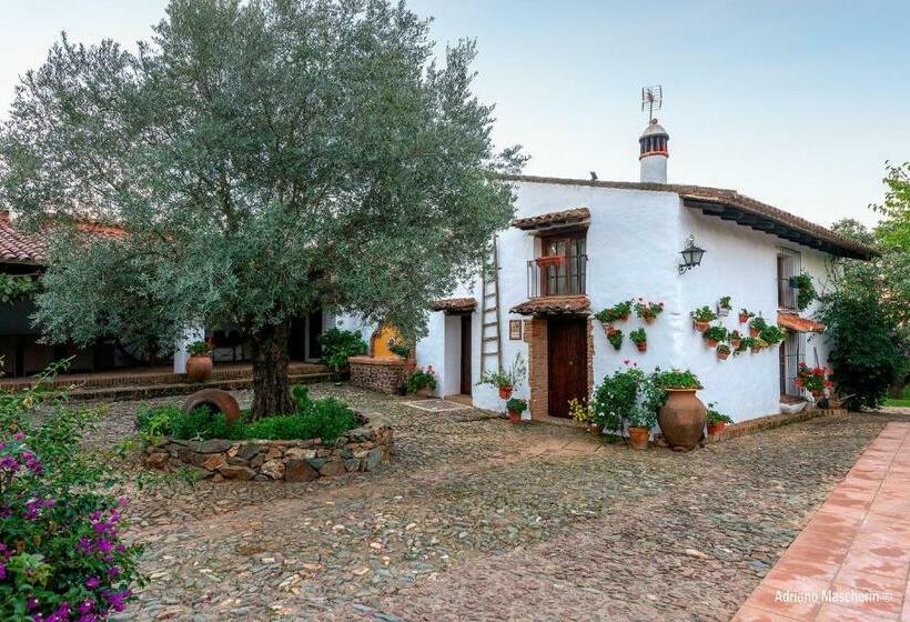 بنجلو عائلى, La Caldera Vieja