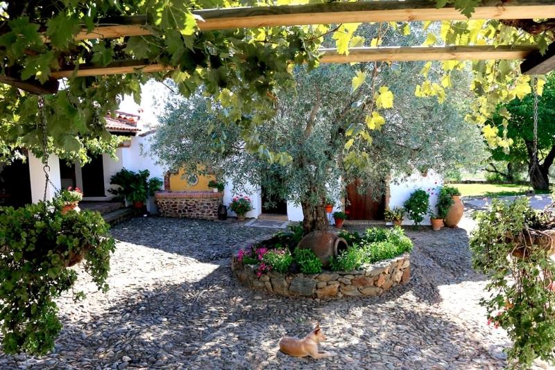 بنجلو عائلى, La Caldera Vieja