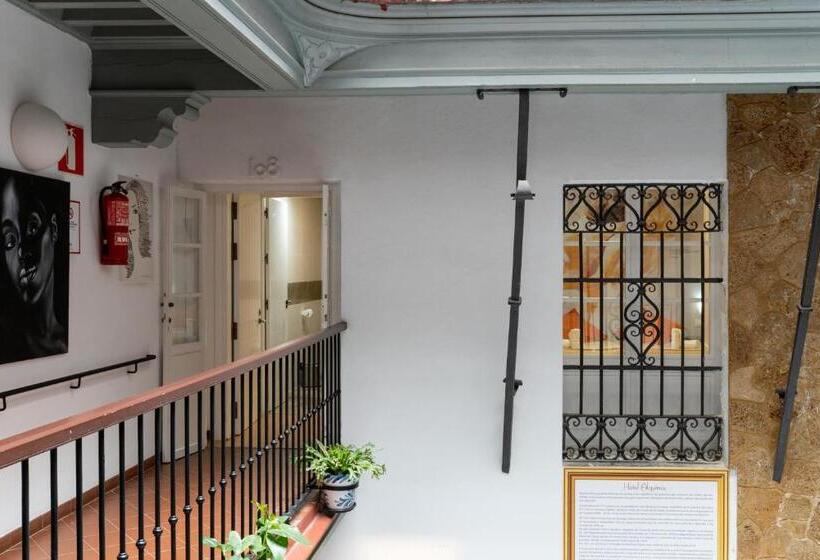 اتاق اکونومی, Alquimia Cadiz