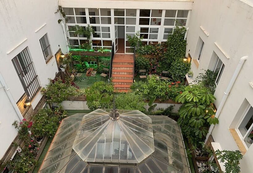 اتاق اکونومی, Alquimia Cadiz