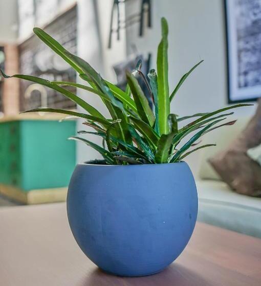 침실 1개 테라스 아파트, Posada De Las Cuevas