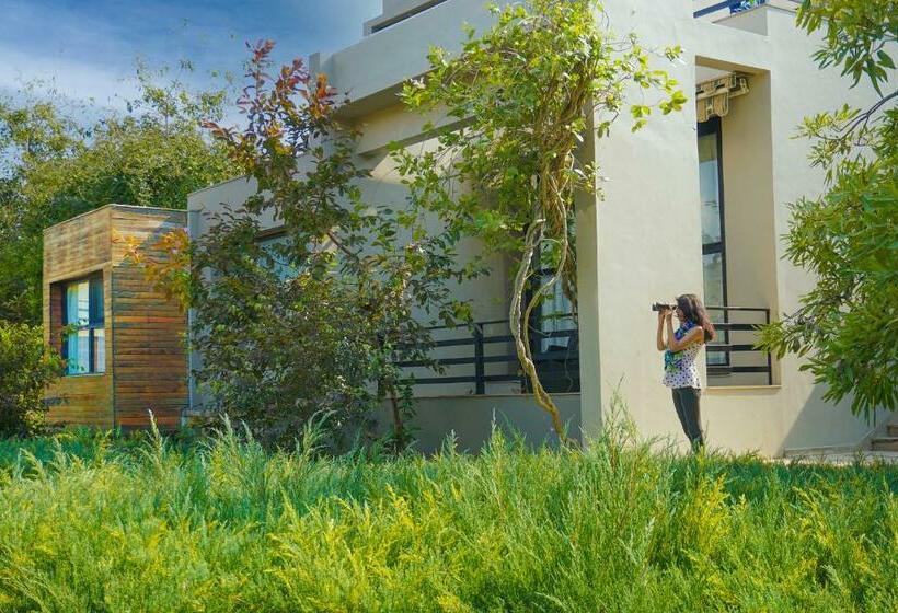 סוויטה, The Golden Tusk By Ivory Destinations